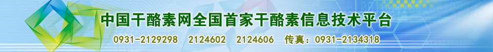 960*102px